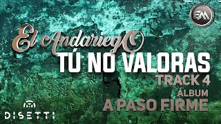 El Andariego - Tu No Valoras (Audio Oficial) | Música Popular chords