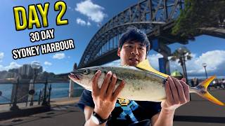 Day 2 of 30: My FIRST KINGFISH After 6 HOURS in the Rain (Sydney Harbour)