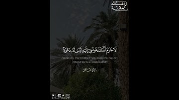 ﴿..وَأُفَوِّضُ أَمري إِلَى اللَّهِ إِنَّ اللَّهَ بَصيرٌ بِالعِبادِ﴾ | القارئ: راشد الحليبة