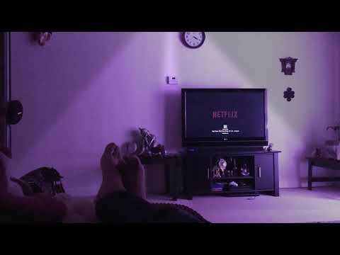 Google home demo