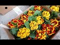 Цветочный рынок, Краснодар 6 марта 2022 г Ч1