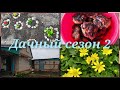 🌺Дачный сезон 2🌺 Наша дача в апреле 🌺 Новые розы 🌹
