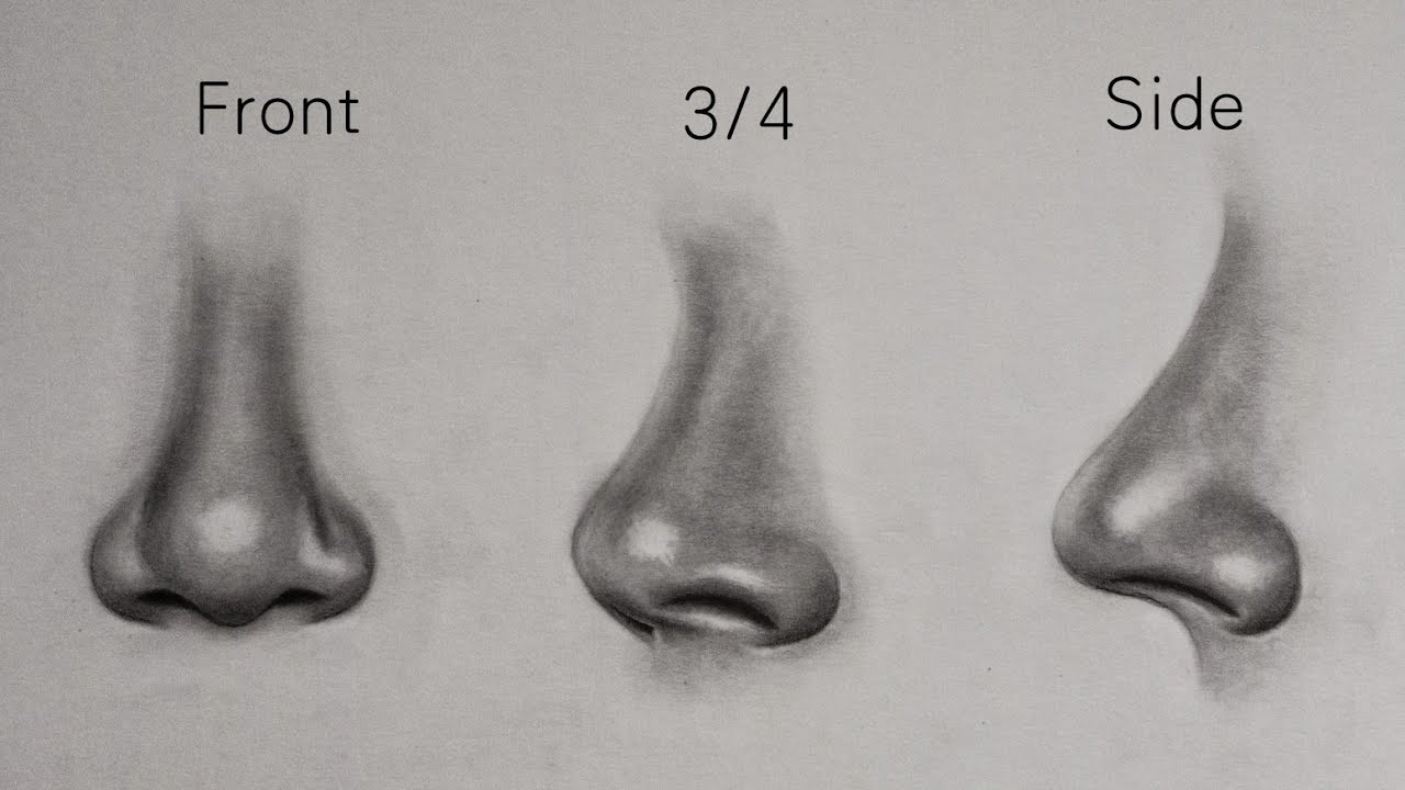 How to Draw a Nose | SpringerLink