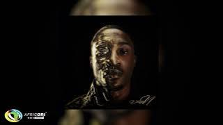 Nandipha808, JayMea - HECTOR GRIME [feat. Morena Deh keys & Nation Deep] (Official Audio)