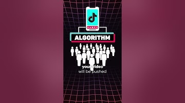 TikTok Algorithm Explained In 30 SECONDS! ⏰