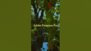 First time shooting on Canon Clog 🫡😢🍃 #film #cinematography #colorgrading #editor #premierepro