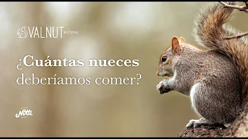 ¿Cuántas nueces al día debo comer?