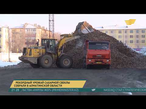 Бейне: Грибановский қант зауыты: мекен-жайы, тарихы, өнімдері, байланыстары