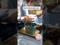Part 2 how to put Amaryllis kit together