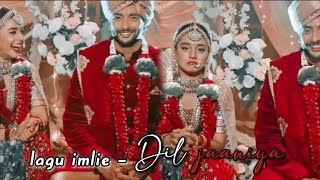 lyrics lagu imlie - Dil Jaaniya