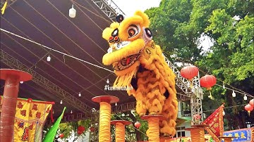 2024 - Lân Lên Mai Hoa Thung - Đoàn LSR Hội Quán Nghĩa An - Tết Nguyên Tiêu 2024