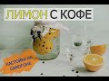 ЛИМОН С КОФЕ | НАСТОЙКА НА САМОГОНЕ