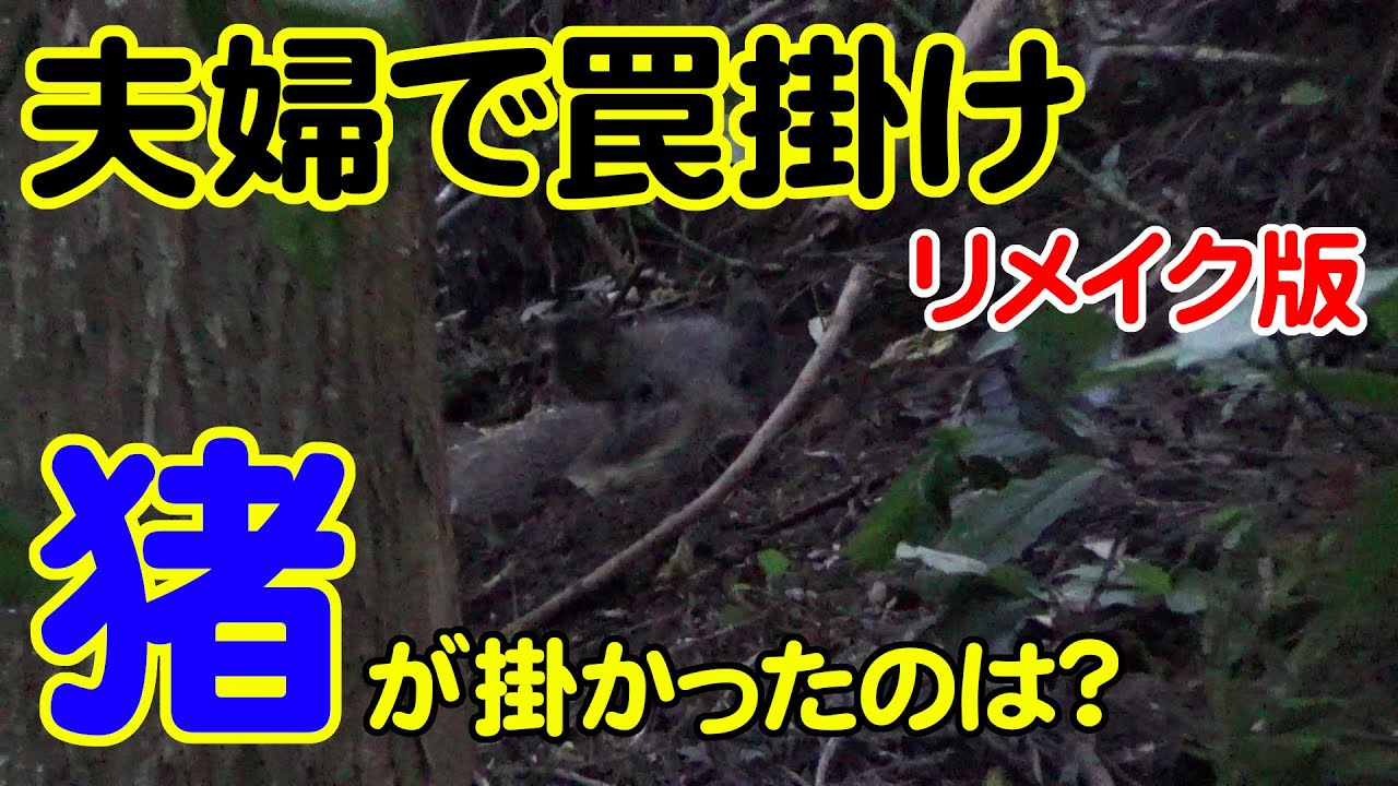 【狩猟】Vol.2 夫婦でイノシシ狙いのくくり罠を設置 ＜リメイク版＞ 【イノシシ】【わな猟】【有害駆除】