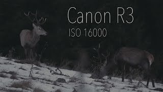 Canon R3 - ISO 16000 - is such a high ISO usable for video? by Volvo Camper Life 2,328 views 2 years ago 1 minute, 35 seconds