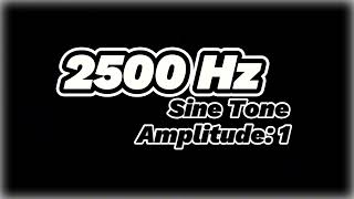 2500 Hz Sine Tone – Pure High Frequency Sound for Audio Testing and Calibration