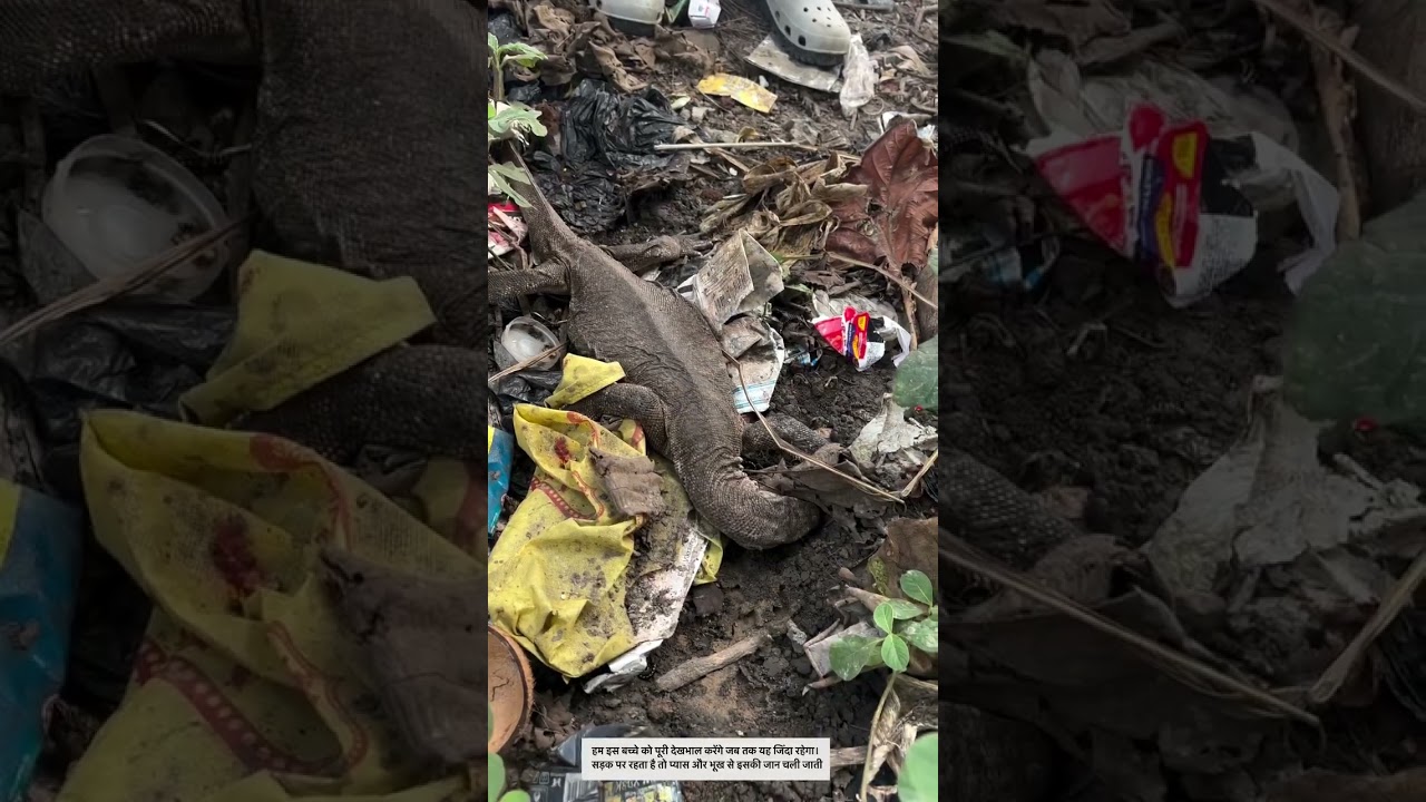 The bike ran over this child's neck 