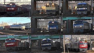 EH500-35牽引3087ﾚと前後の貨物列車　府中本町　2019/01/29