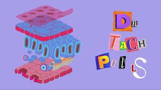 Dr Tach Pills