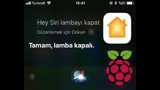 Raspberry Pi Homebridge Siri Light Control
