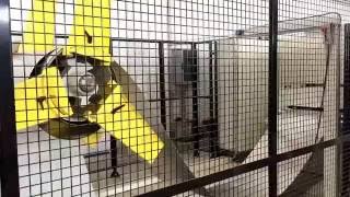 Download Lagu Laser cutting system Dalcos LXN with vision system coupled with perforation press MP3