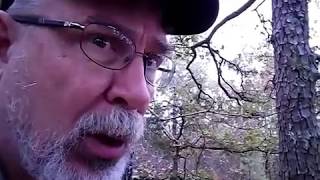 Bigfoot sightings top of mountain. Bigfoot howls