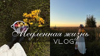 картинка: Медленная жизнь. Влог о поиске себя и нового дела и простых деревенских буднях.