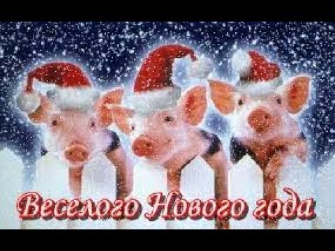 Жасмин и Лев