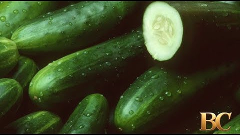 Cucumbers recalled after more than 20 people sickened in Salmonella outbreak