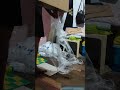 MONITOR PART 1