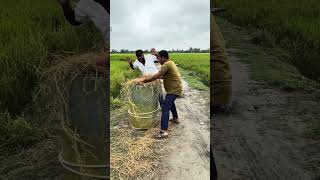 While Tying The Drum To The Motorcycle 1
