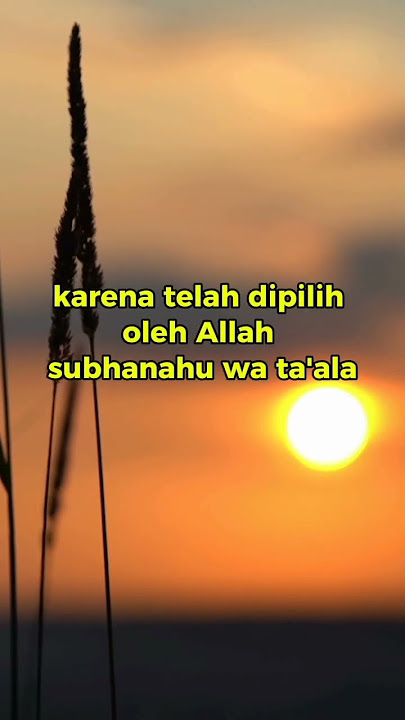 Bersyukur Allah Masih Sayang Kita Part 2, MENYEBAR KEBAIKAN #muhasabahdiri #kutipanhikmah #motivasi