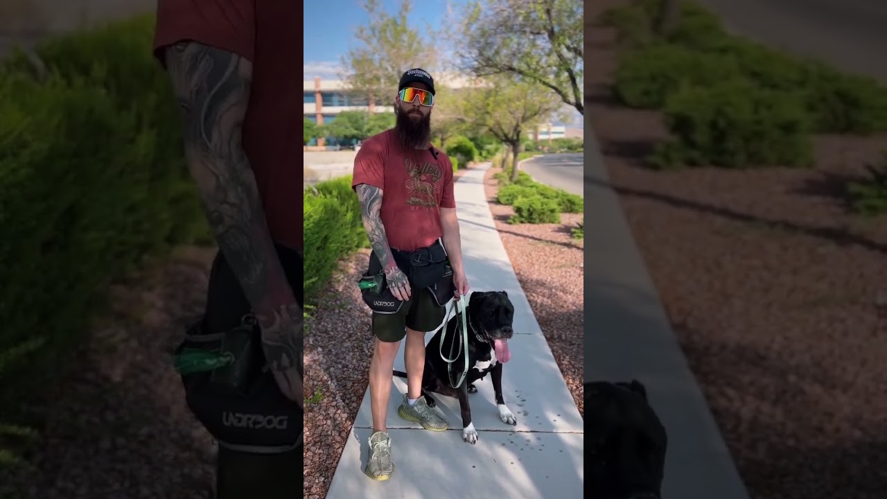 This Is Why Your Dog Still Pees In The House… 