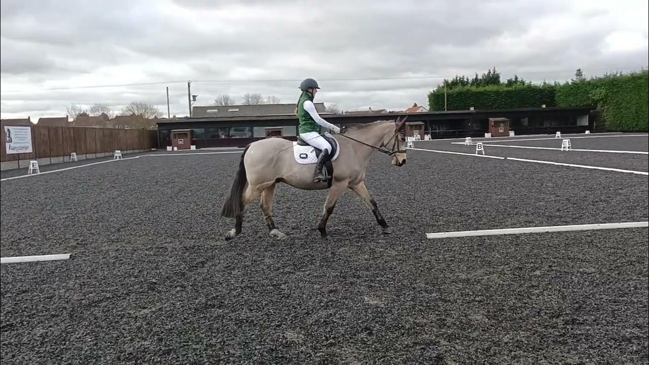 BD Novice 24 Dressage Test YouTube