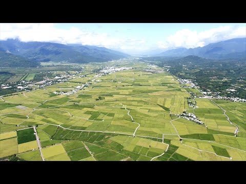 2020年池上秋收稻穗藝術節宣傳影片