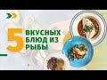 Еда Шоу | 5 вкусных блюд из рыбы