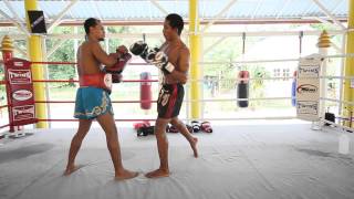 jab-cross-tatmala-mid knee-long elbow