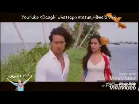 Whatsapp status video punjabi virkon s disinfettante