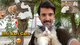 Max keh Cute Fans Milne Aye  | 7k Subscribers Complete |Rehan & Max