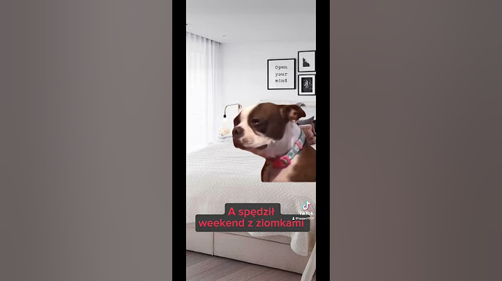 Co robicie w takiej sytuacji ?