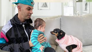 DOG MEETS BABY FOR THE FIRST TIME.... by The Moco Family 28,967 views 3 years ago 15 minutes