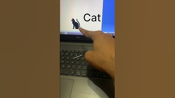 🐈 Cat Symbol Shortcut in Ms Word #shorts #shortcutkeys #computershortcutkeys #msword