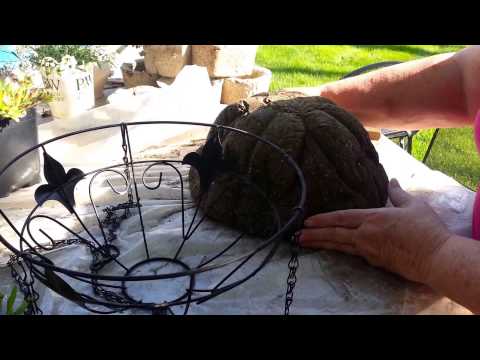 Hanging Hypertufa Baskets - I Tried It &amp; It Works! Part Two from The Hypertufa Gardener