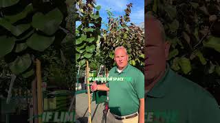 Trees For Every Landscape