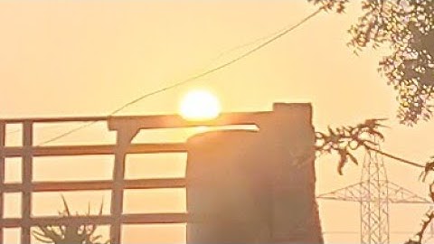 1 नवंबर देवउठनी एकादशी के दिन 1 हरी मिर्च में 5 लौंग गाड़ देना पूरे साल आएगा धन..#premanandji   