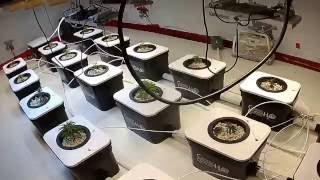 CXB3590 and Under Current grow  Update