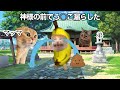 神社でう◯こ漏らしてしまった話 #猫ミーム #猫マニ #社畜