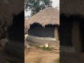 Amazing African houses #viralvideo #trending #travel