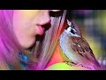 Как милый ручной воробей проявляет любовь/lovely sparrow/