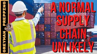 A Normal Supply Chain Unlikely | Supply Shortages In 2023?