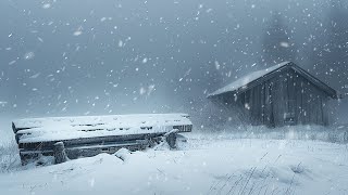 Strong Blizzard with Heavy Snowfall for Sleeping, Deep Sleep | Winter Blizzard & Icy Howling Wind